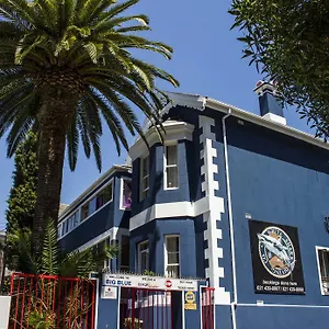 Hostel Big Blue Backpackers Kaapstad